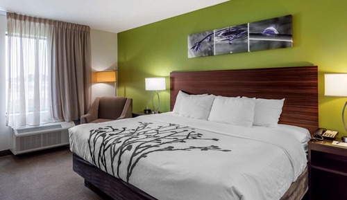Habitación estándar, 1 cama de matrimonio grande, no fumadores