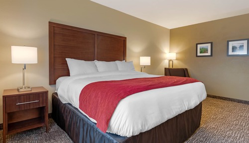 Habitación estándar, 1 cama de matrimonio grande, no fumadores
