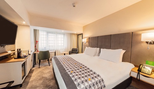 Habitación estándar, 1 cama de matrimonio grande
