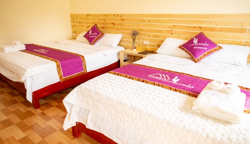 Habitación cuádruple estándar
