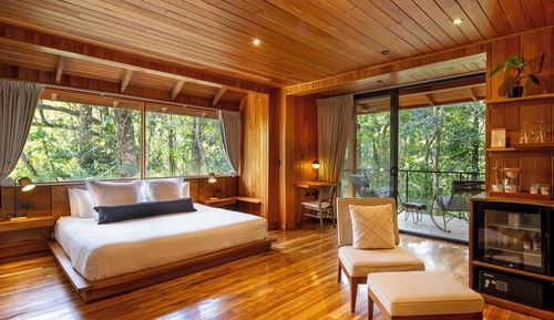 Cloud Forest Studio