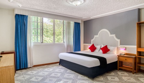 Habitación Deluxe
