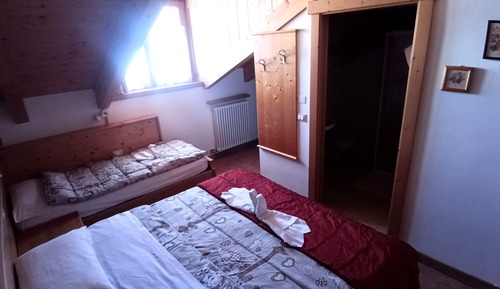 Habitación estándar con 1 cama doble o 2 individuales