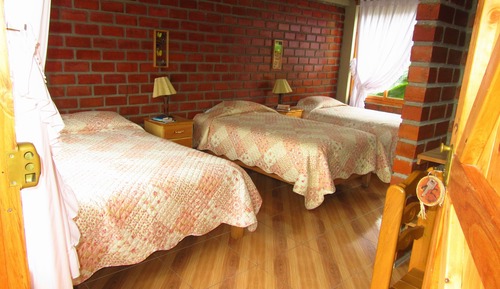 Habitación básica, vistas al jardín