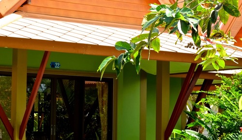 Habitación, vistas al jardín