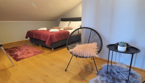 Habitación exclusiva doble, 1 cama de matrimonio (4)