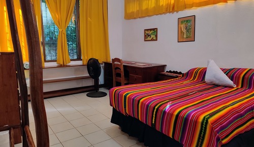 Apartamento económico, 1 cama de matrimonio, acceso a la piscina, vistas al jardín