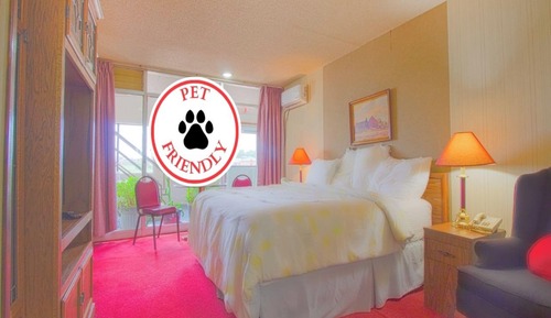 Suite, 1 cama de matrimonio grande