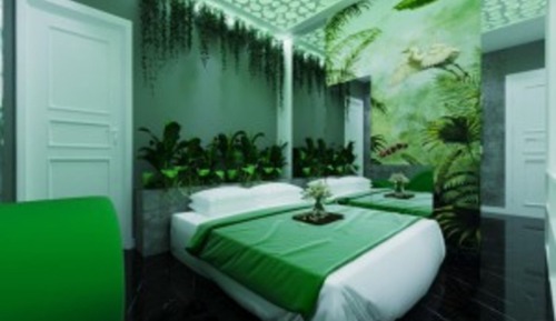 Habitación doble superior (VIP 1)
