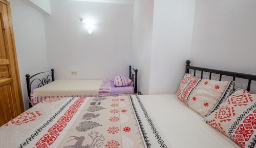 Suite económica (No View)