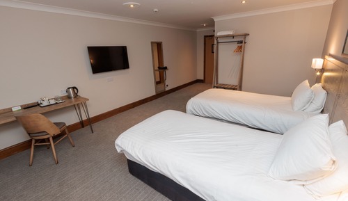 Habitación estándar con 2 camas individuales