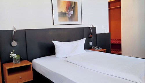 Habitación Business individual, 1 cama de matrimonio, no fumadores