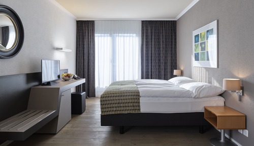 Habitación económica con 1 cama doble o 2 individuales