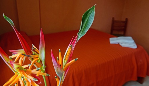 Habitación cuádruple básica