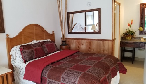 Habitación individual Premium, 1 cama de matrimonio con sofá cama