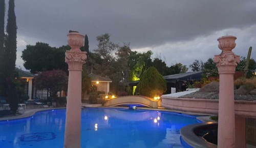 Habitación junior doble, 1 cama de matrimonio grande, vistas a la piscina