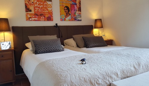 Habitación Confort con 1 cama doble o 2 individuales