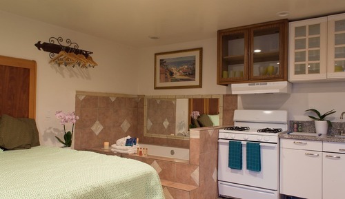 Suite estudio, 1 cama de matrimonio grande, cocina, planta baja