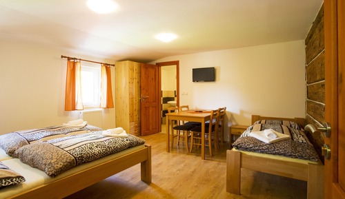 Habitación básica con 1 cama doble o 2 individuales (+ Extra bed)
