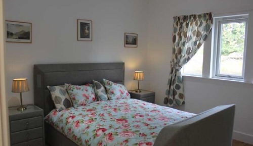Habitación Deluxe doble (TV Bed)
