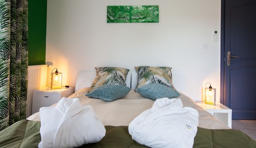 Habitación de diseño doble, 1 cama de matrimonio
