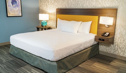 Suite, 1 cama de matrimonio grande (Mob/Hearing, Roll-In Shower)