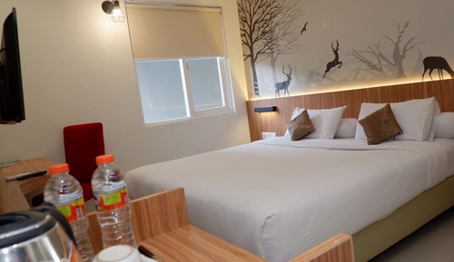 Habitación Deluxe doble