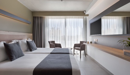 Habitación estándar con 1 cama doble o 2 individuales