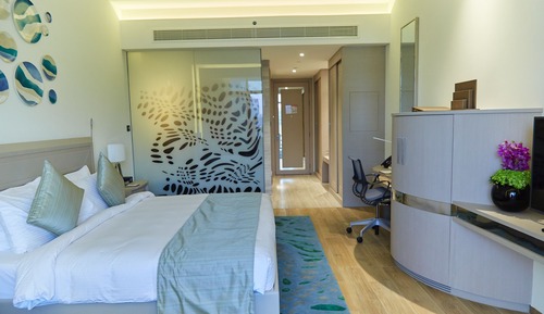 Habitación Deluxe