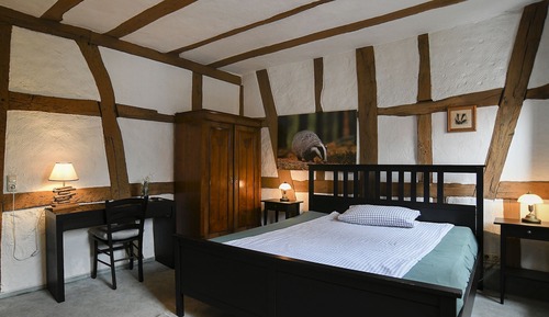 Basic Double Room