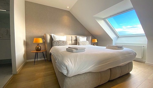 Habitación Deluxe doble, 1 cama de matrimonio grande