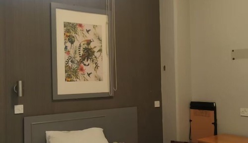 Habitación individual estándar, baño privado