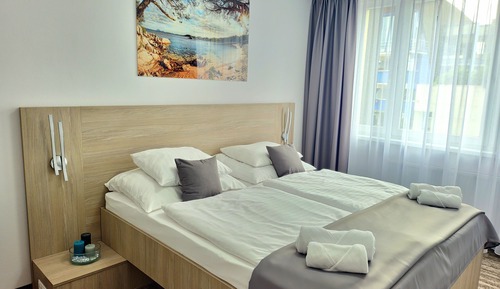 Habitación Premium con 1 cama doble o 2 individuales