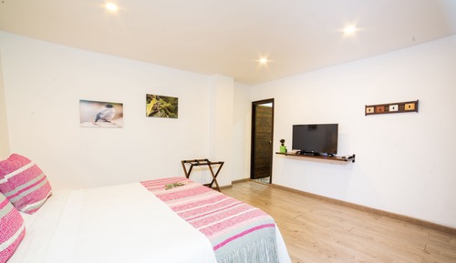 Habitación Deluxe