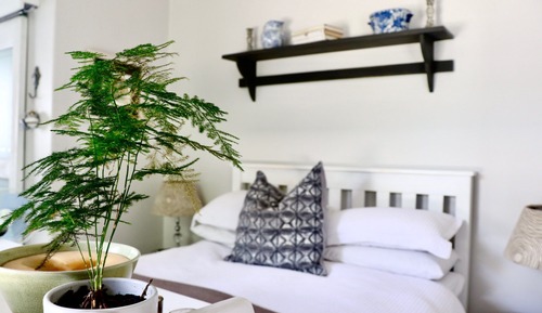 Suite superior, 1 cama de matrimonio, baño privado (1)