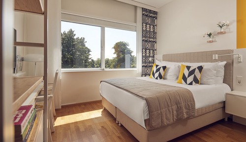 Habitación Confort (Plus)