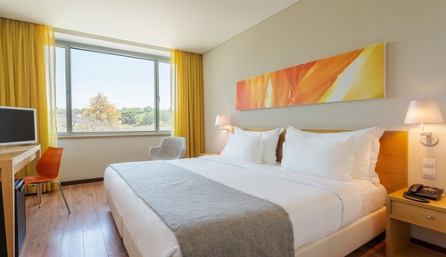 Habitación Confort doble, 1 cama de matrimonio grande