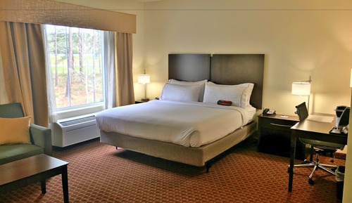 Habitación estándar, 1 cama de matrimonio grande con sofá cama