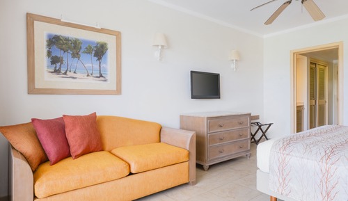 Habitación Premium (Tropical View)