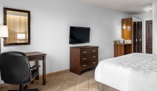 Habitación estándar, 1 cama de matrimonio grande, con vistas (Panama Canal View)