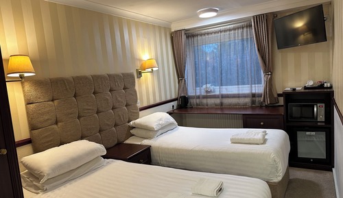Habitación estándar con 2 camas individuales