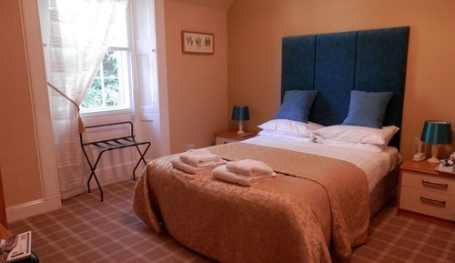 Habitación estándar doble, 1 cama doble, baño privado