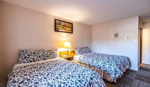 Habitación estándar, 2 camas dobles