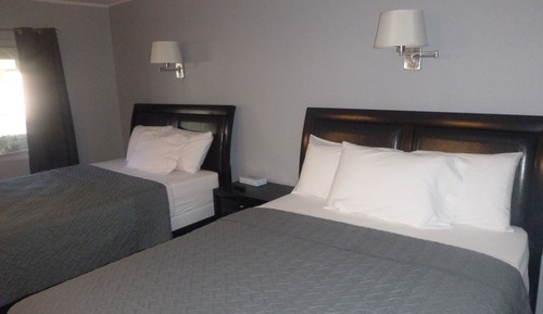 Suite Deluxe, 1 habitación