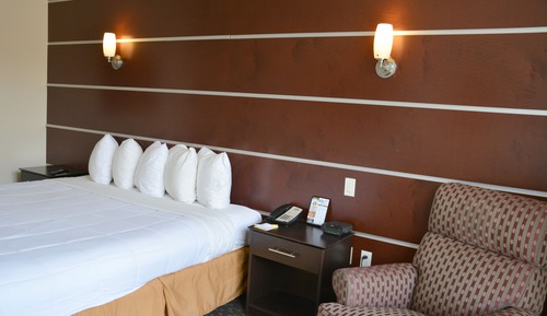 Habitación, 1 cama de matrimonio grande, no fumadores (Pet-Friendly)