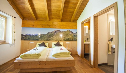 Apartamento estándar, 2 habitaciones, cocina básica, vistas a la montaña (Schwalbennest)
