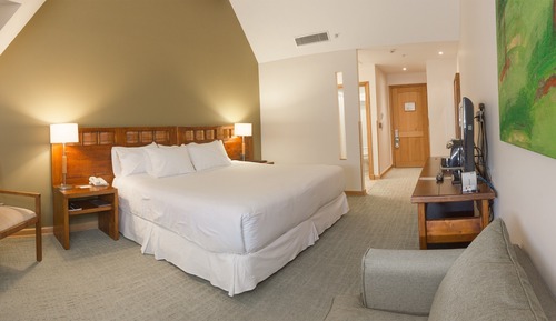 Habitación estándar, 1 cama de matrimonio grande, no fumadores