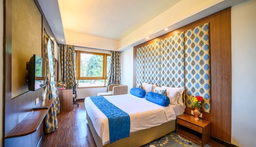 Habitación Premier