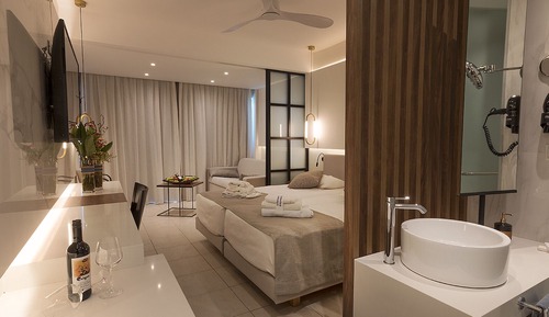 Habitación Deluxe con 1 cama doble o 2 individuales, vistas al jardín