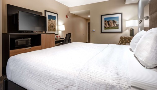 Habitación estándar, 1 cama de matrimonio grande, no fumadores, frigorífico y microondas